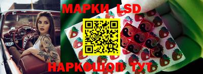 тгк Волжск