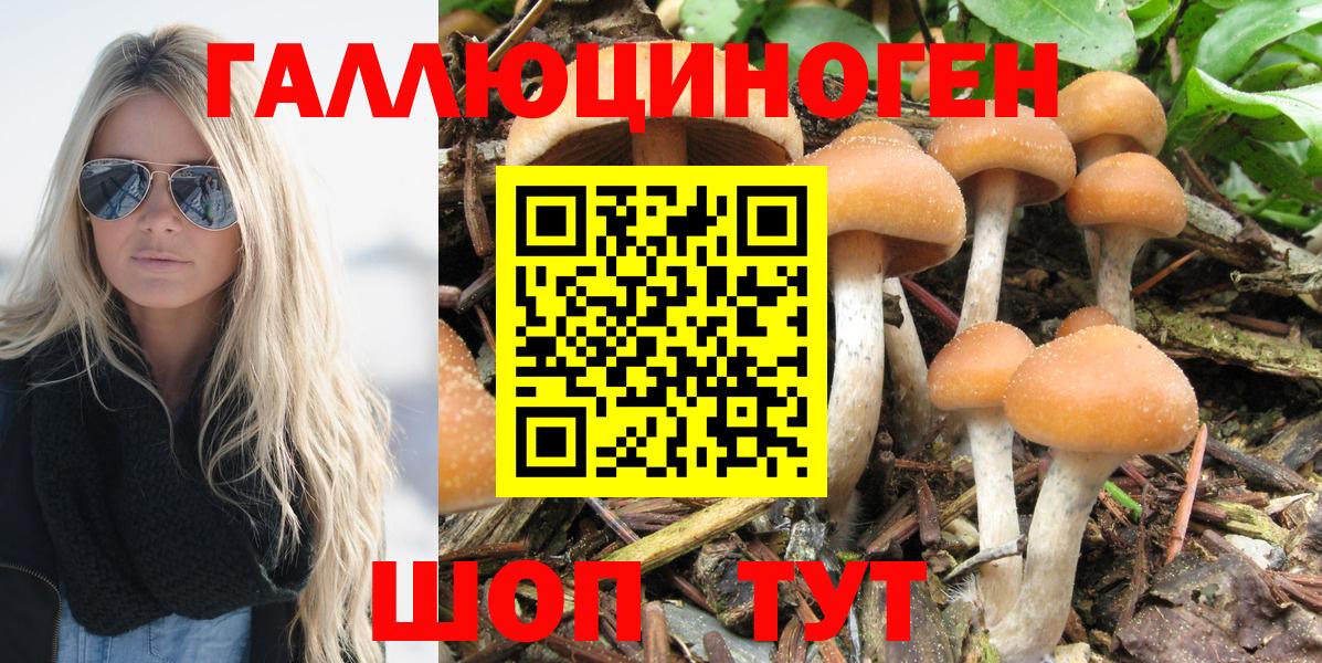 Галлюциногенные грибы Cubensis  Псилоцибиновые грибы Psilocybe  Вход с VPN  Муравленко 
